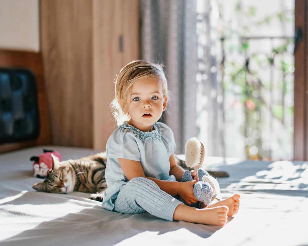 bassinet with motion