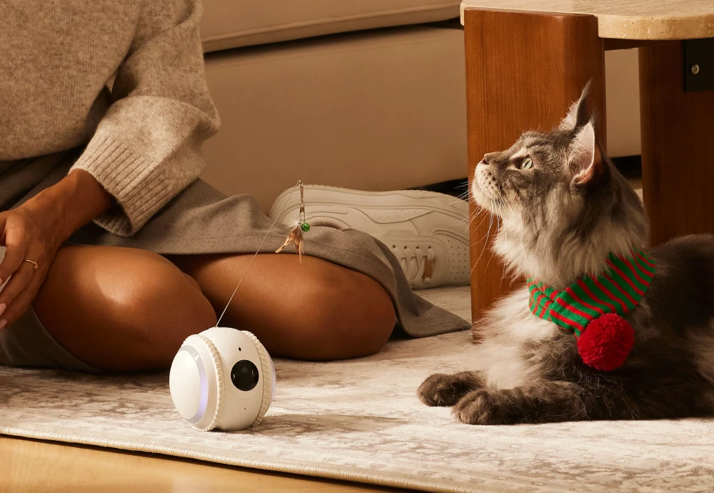 indoor camera pet
